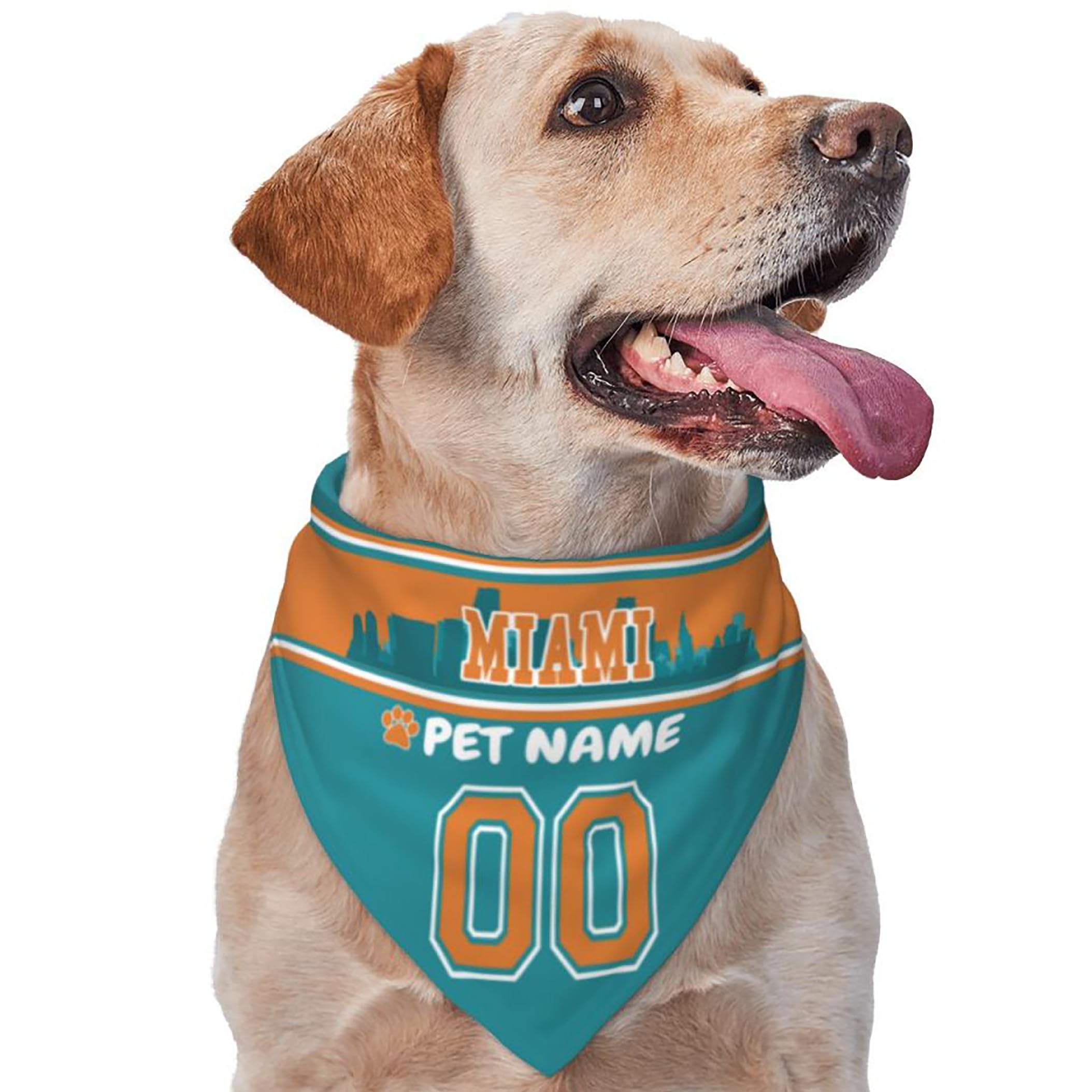 Custom Name and Number Football Dog Bandana