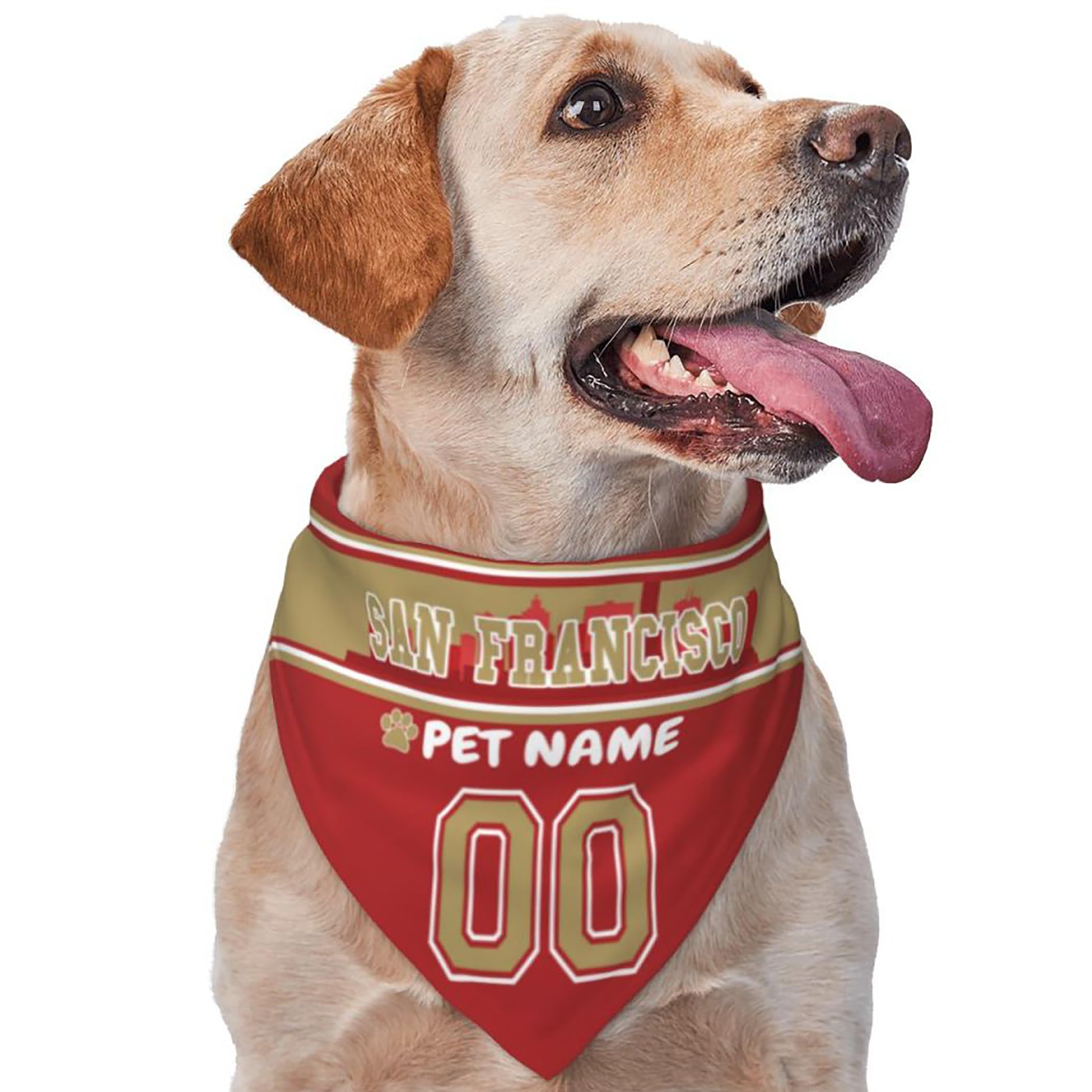 Custom Name and Number Football Dog Bandana