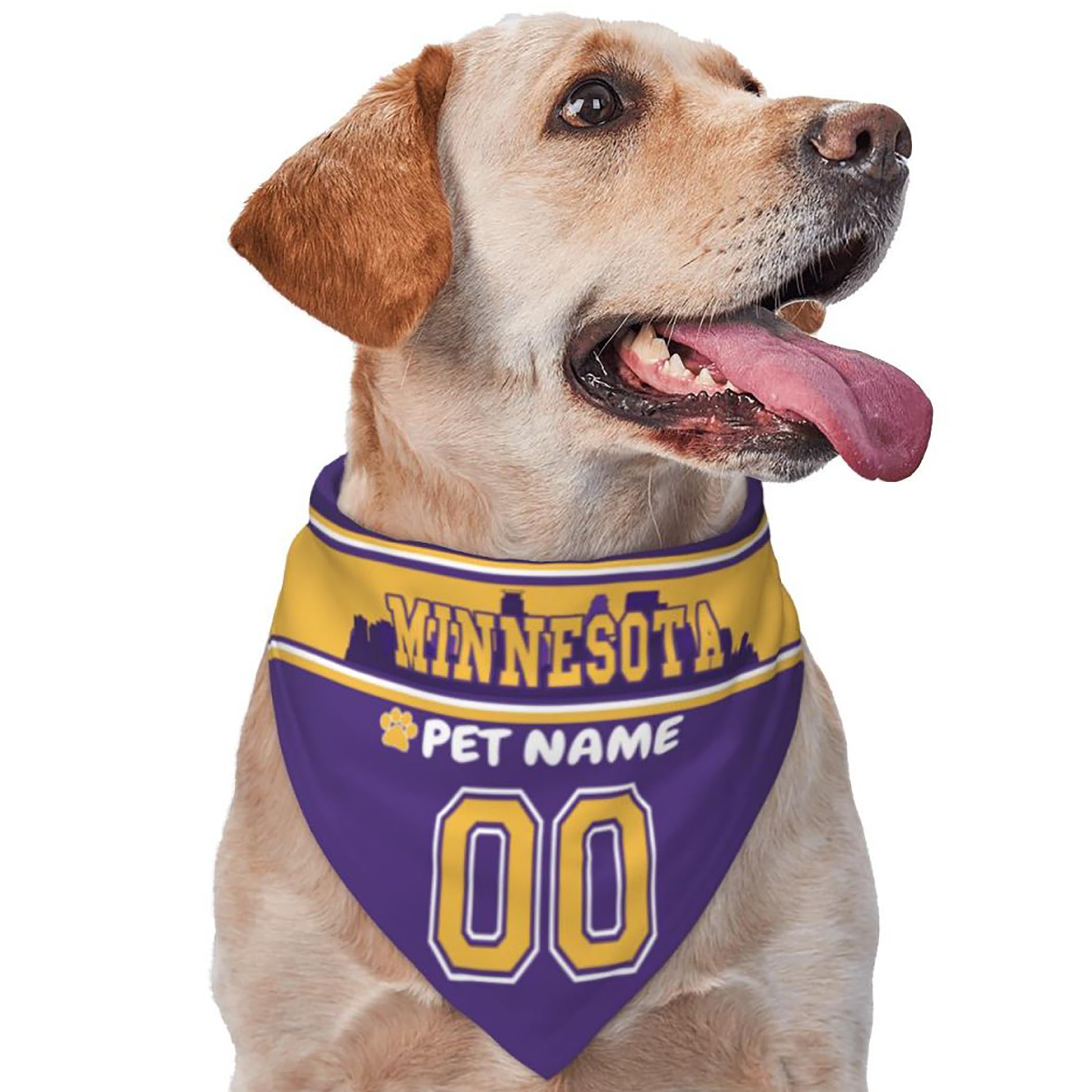 Custom Name and Number Football Dog Bandana