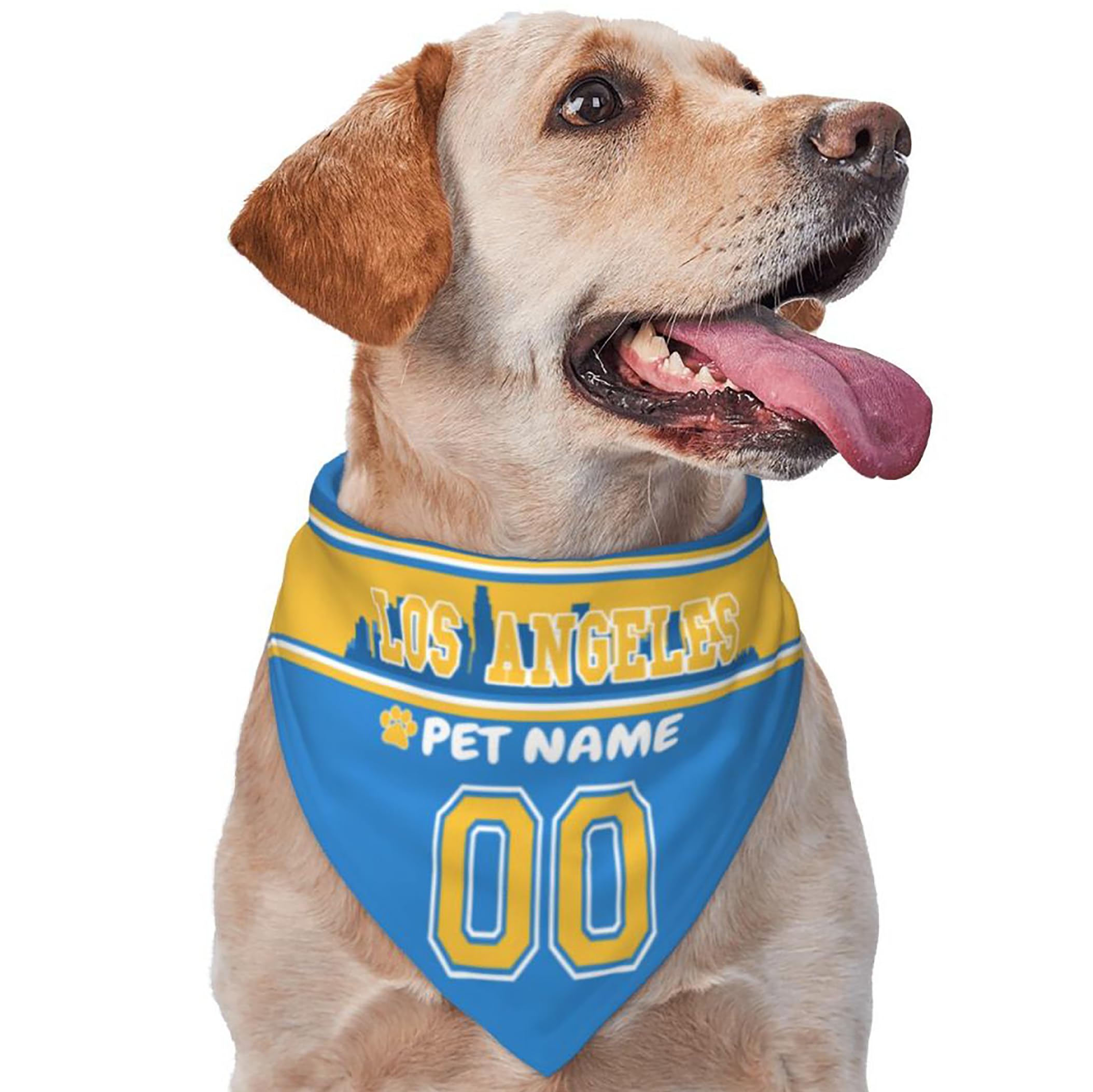 Custom Name and Number Football Dog Bandana