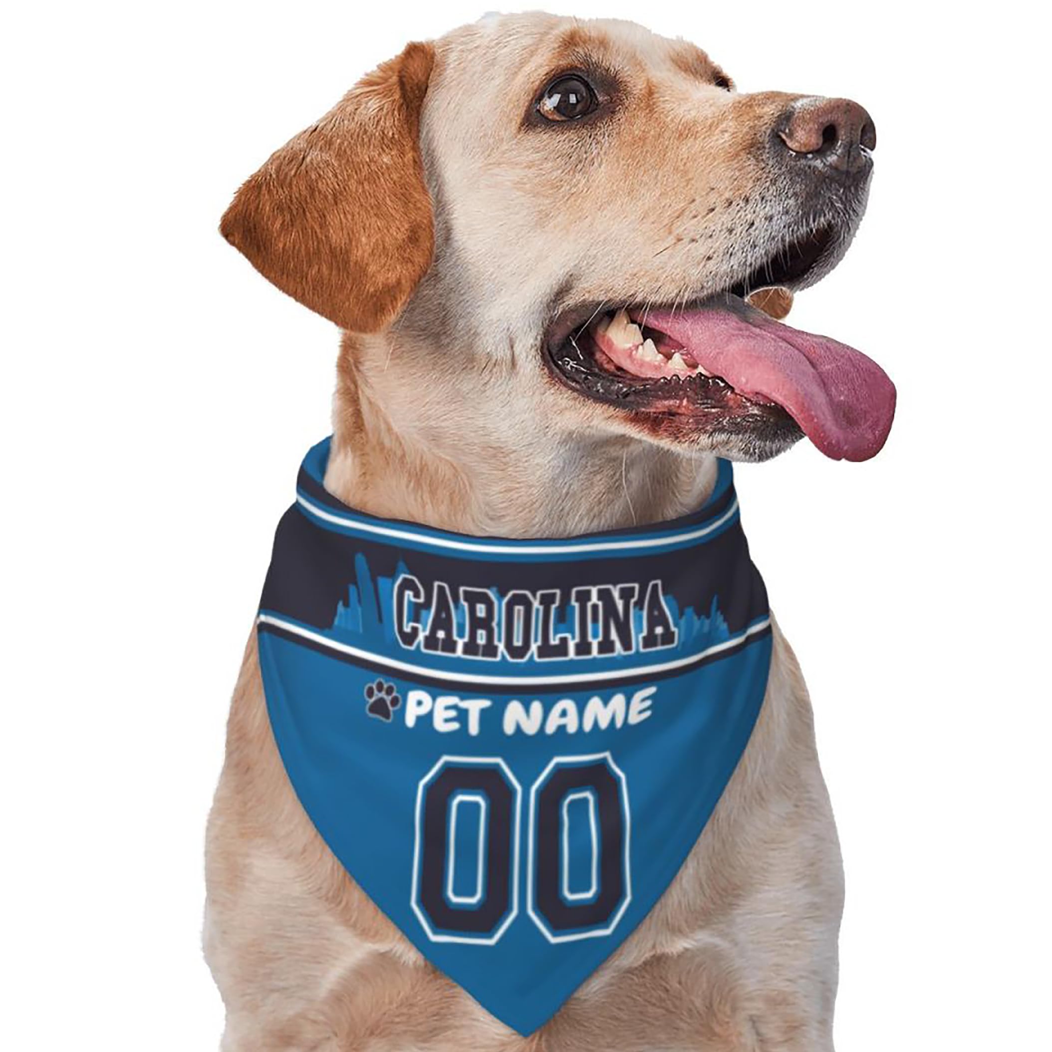 Custom Name and Number Football Dog Bandana