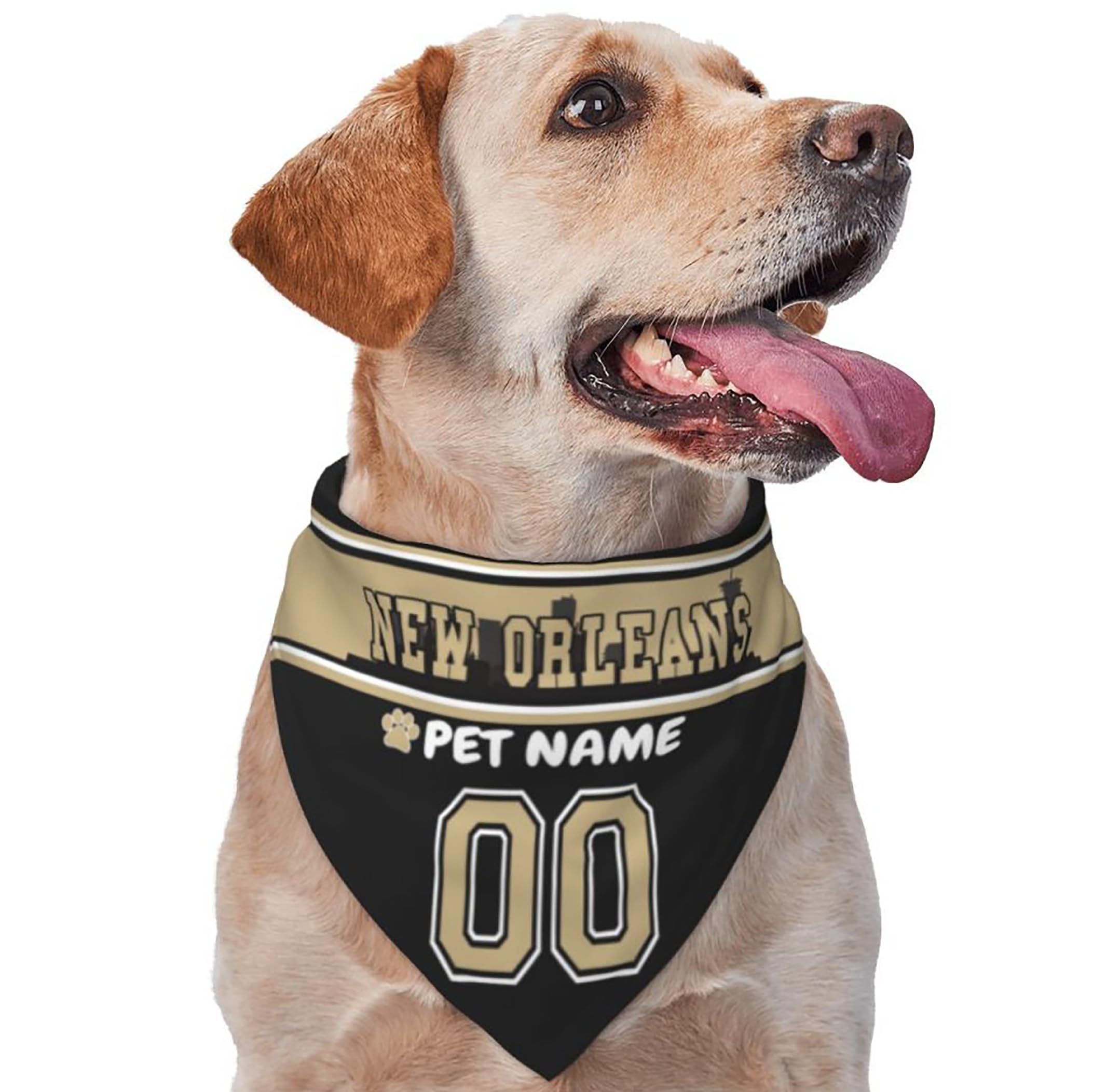 Custom Name and Number Football Dog Bandana