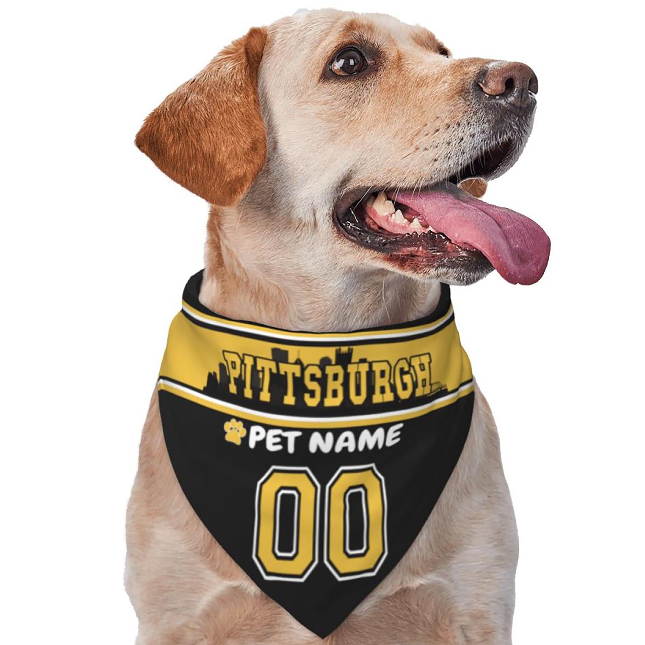 Custom Name and Number Football Dog Bandana