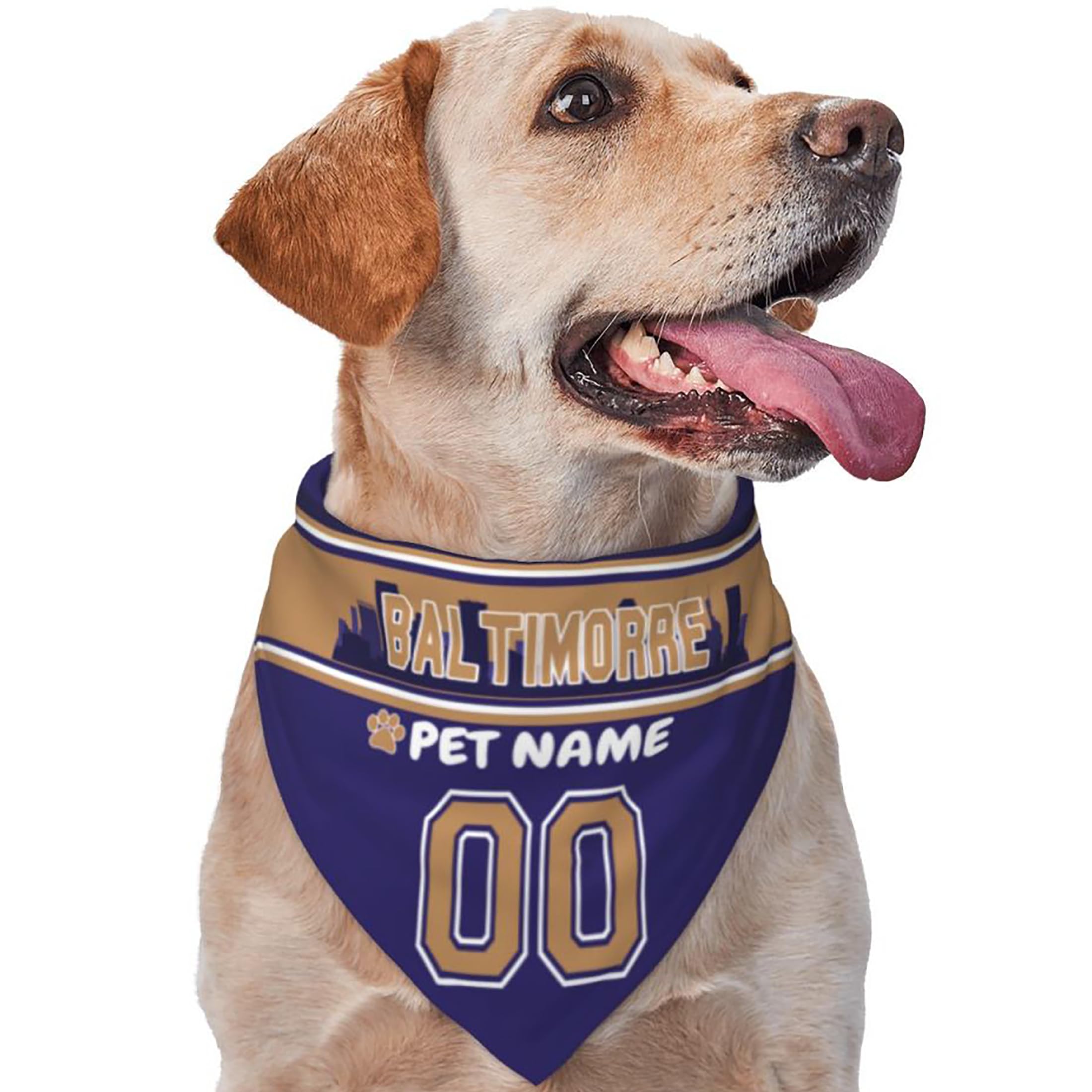 Custom Name and Number Football Dog Bandana