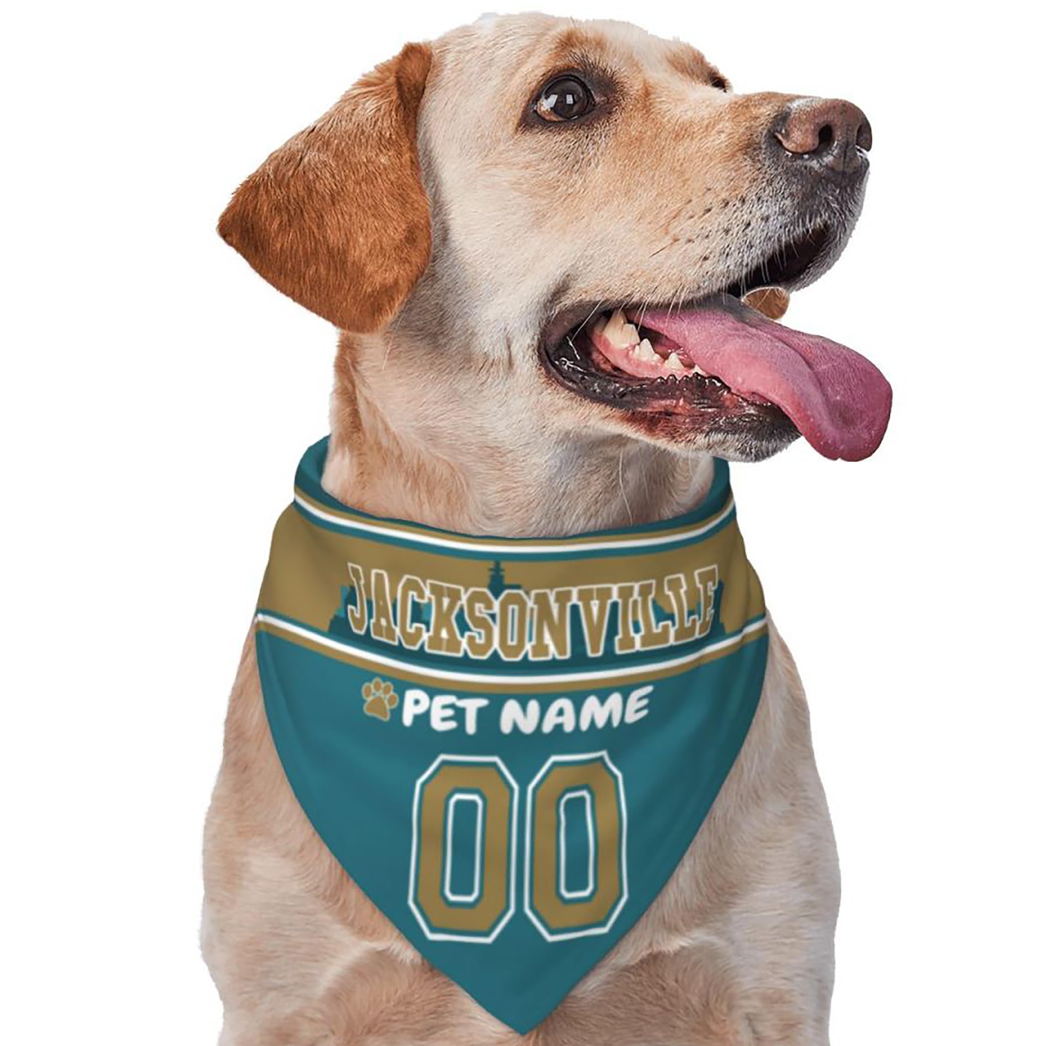 Custom Name and Number Football Dog Bandana