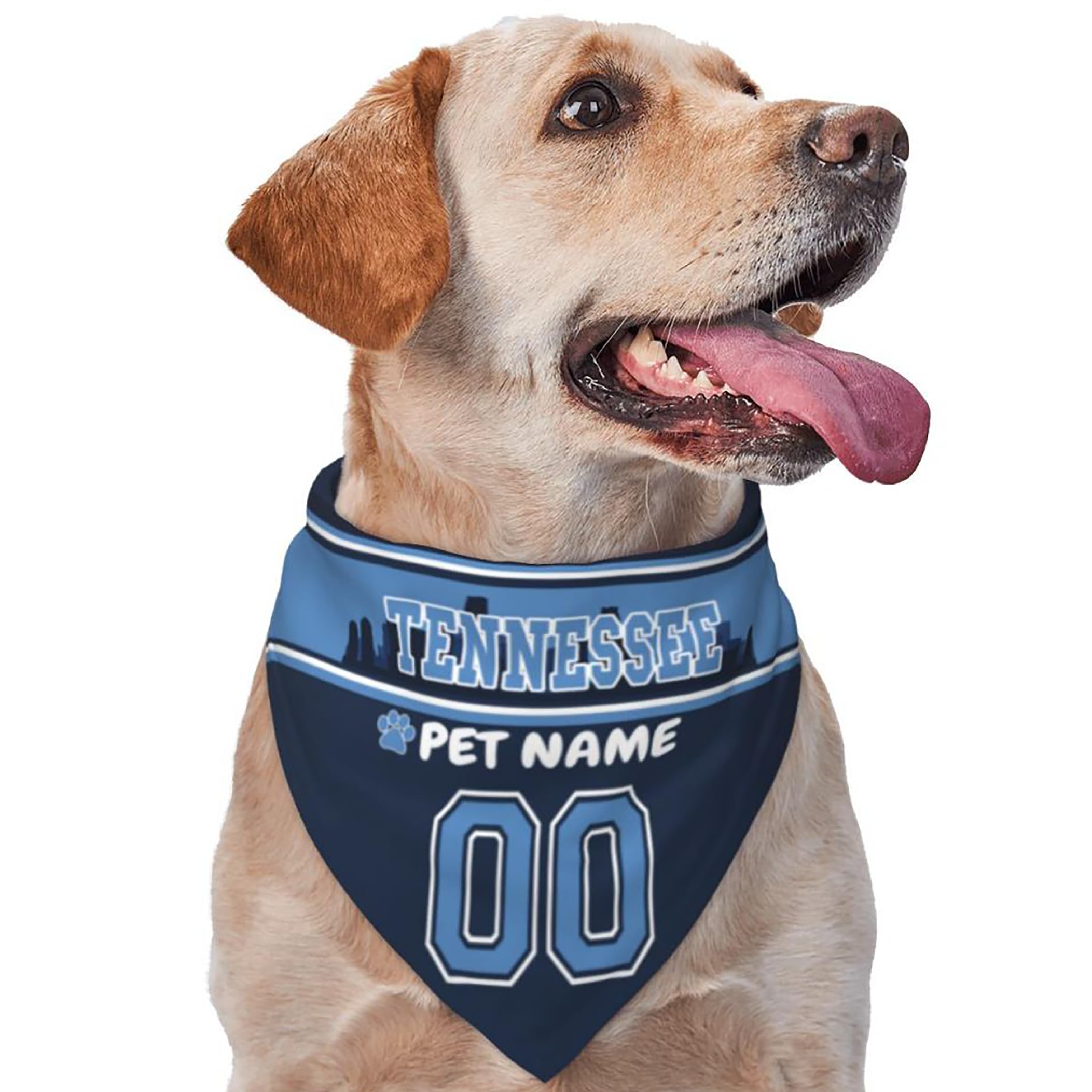 Custom Name and Number Football Dog Bandana