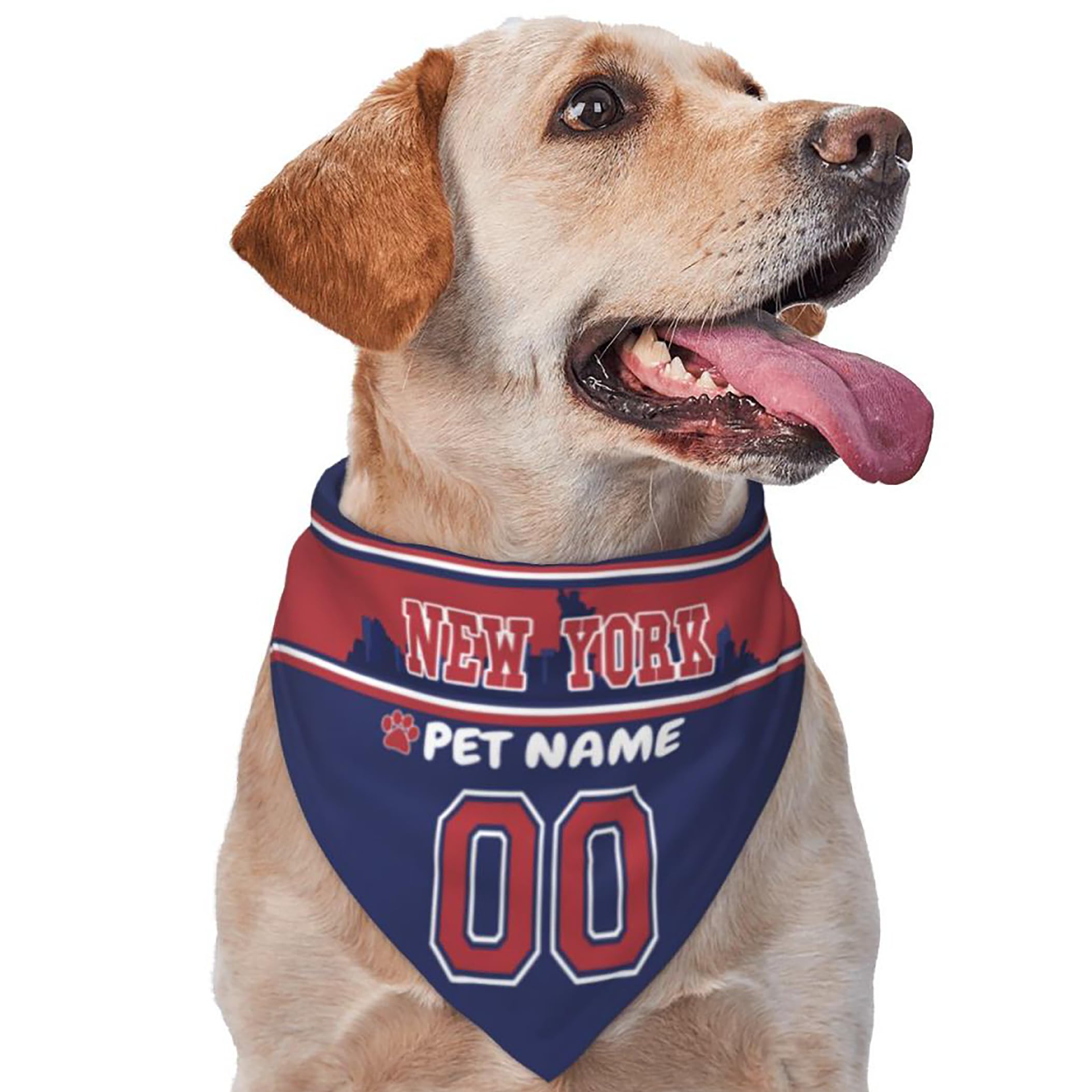 Custom Name and Number Football Dog Bandana