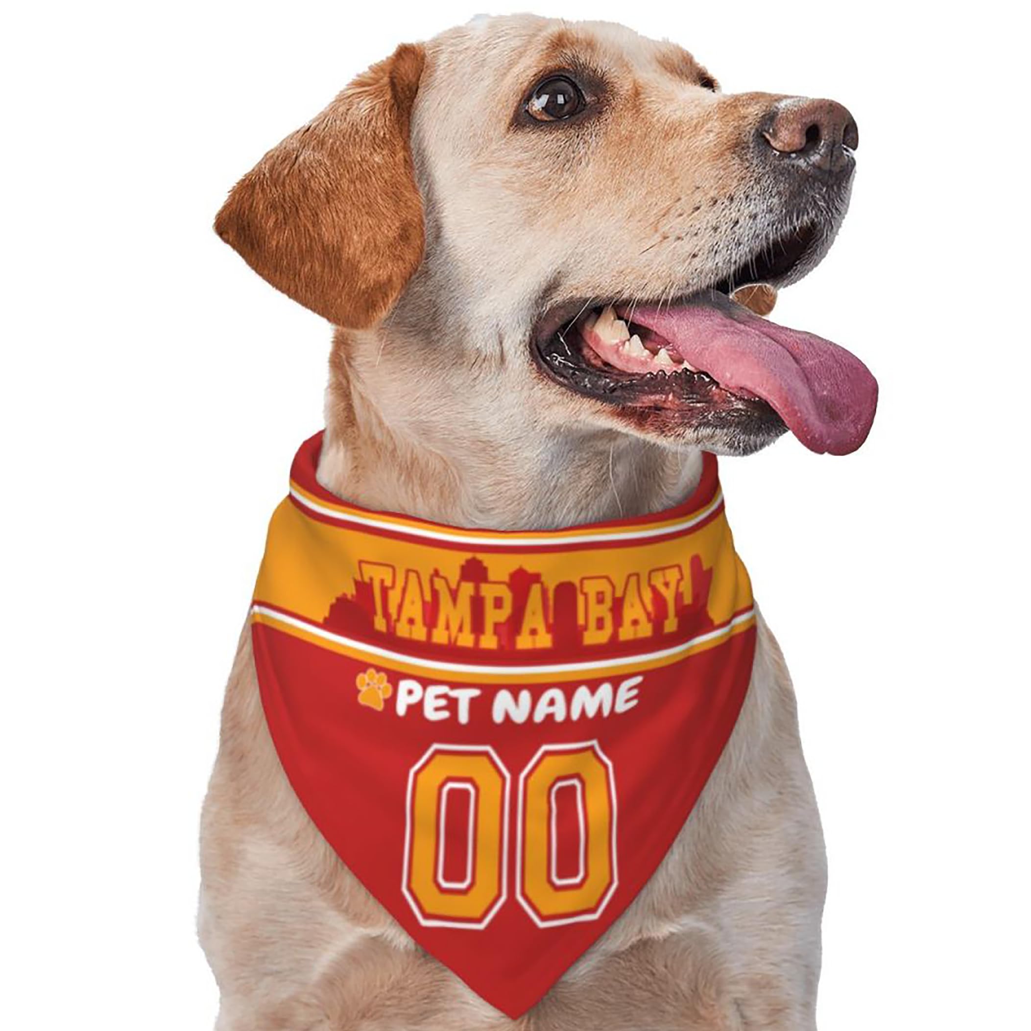 Custom Name and Number Football Dog Bandana