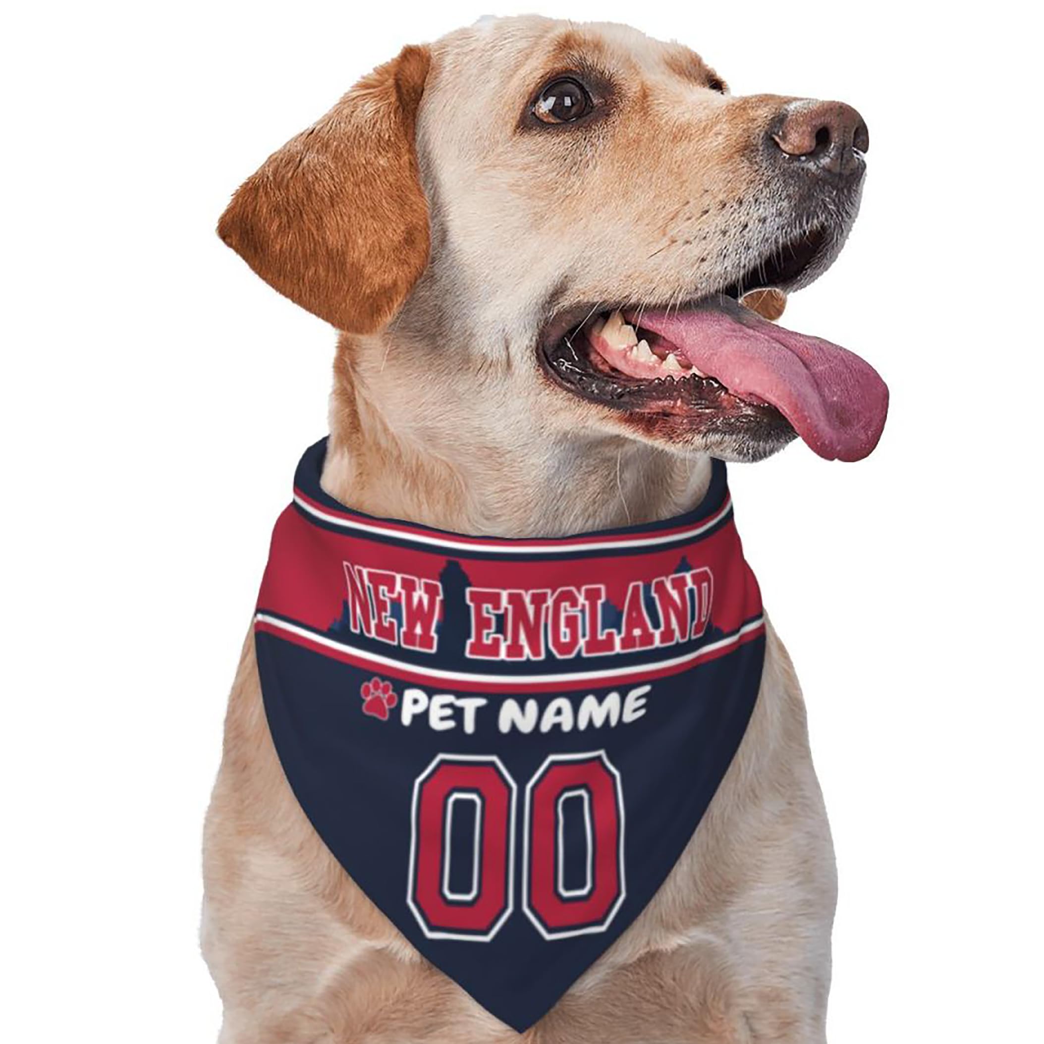 Custom Name and Number Football Dog Bandana