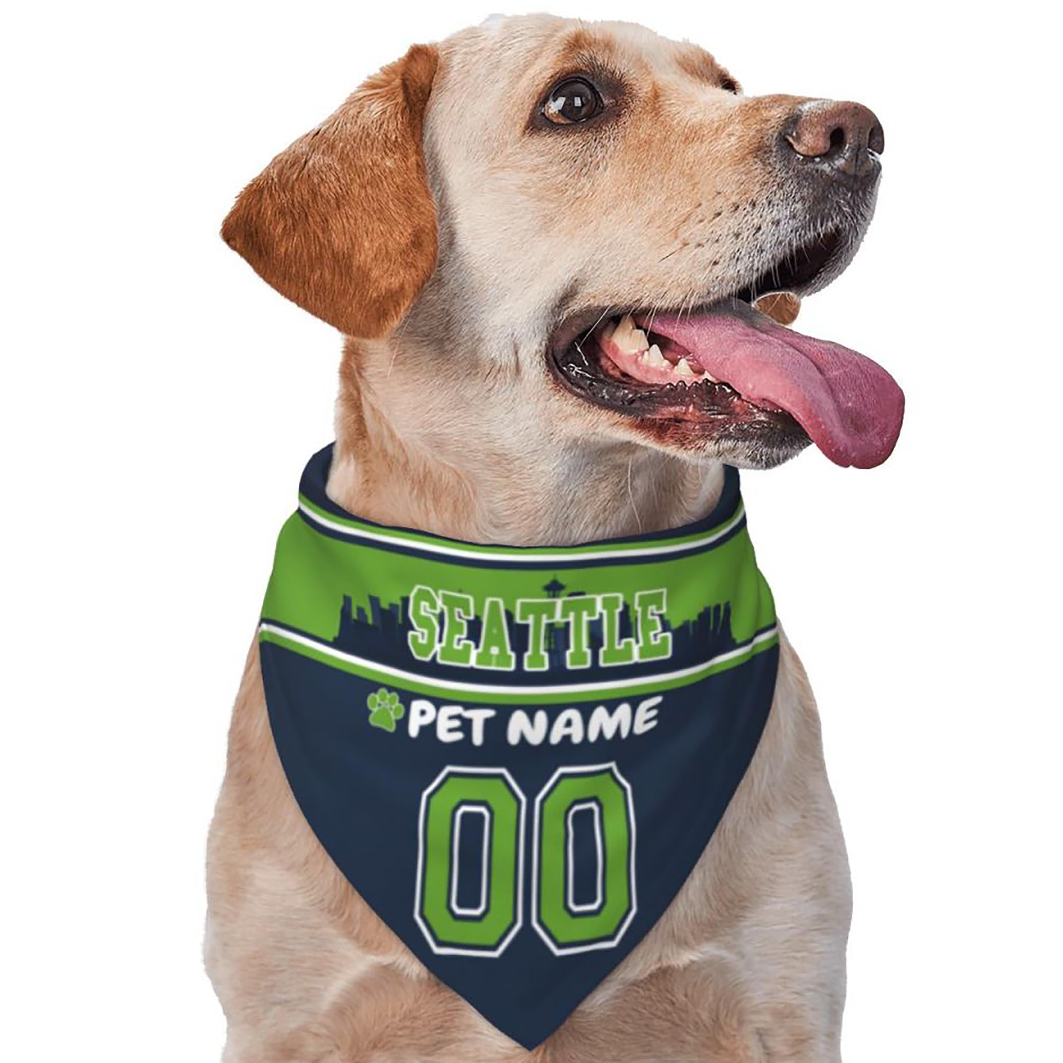 Custom Name and Number Football Dog Bandana
