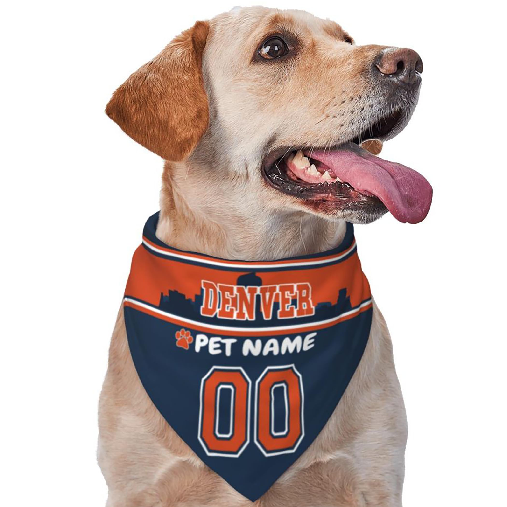 Custom Name and Number Football Dog Bandana