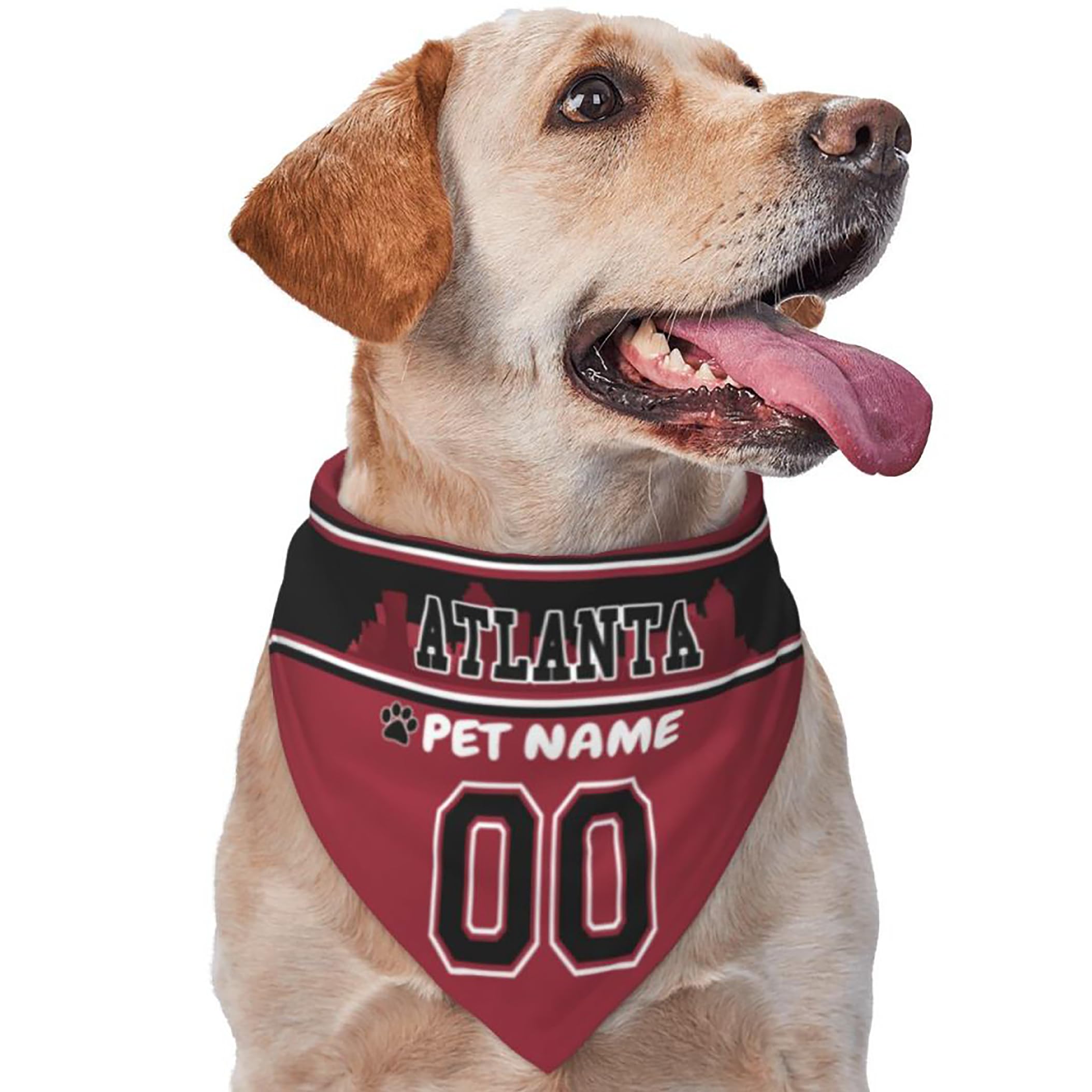 Custom Name and Number Football Dog Bandana