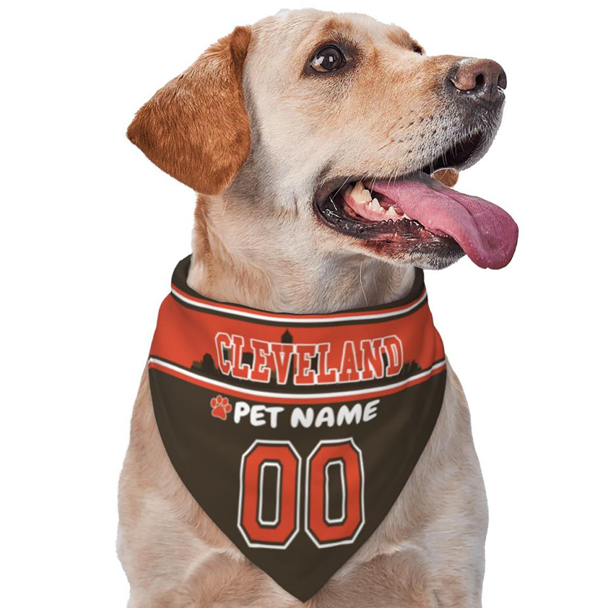 Custom Name and Number Football Dog Bandana
