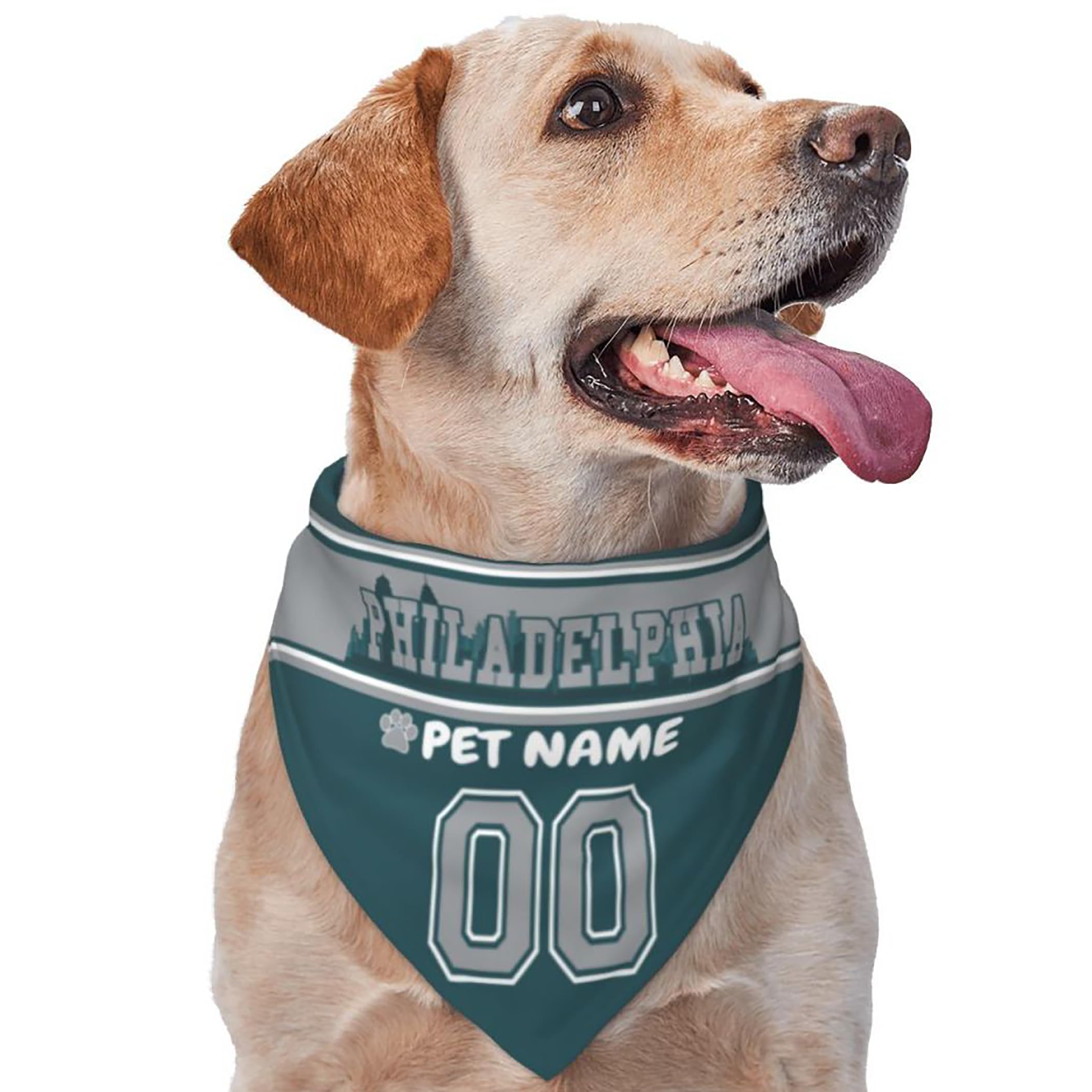 Custom Name and Number Football Dog Bandana