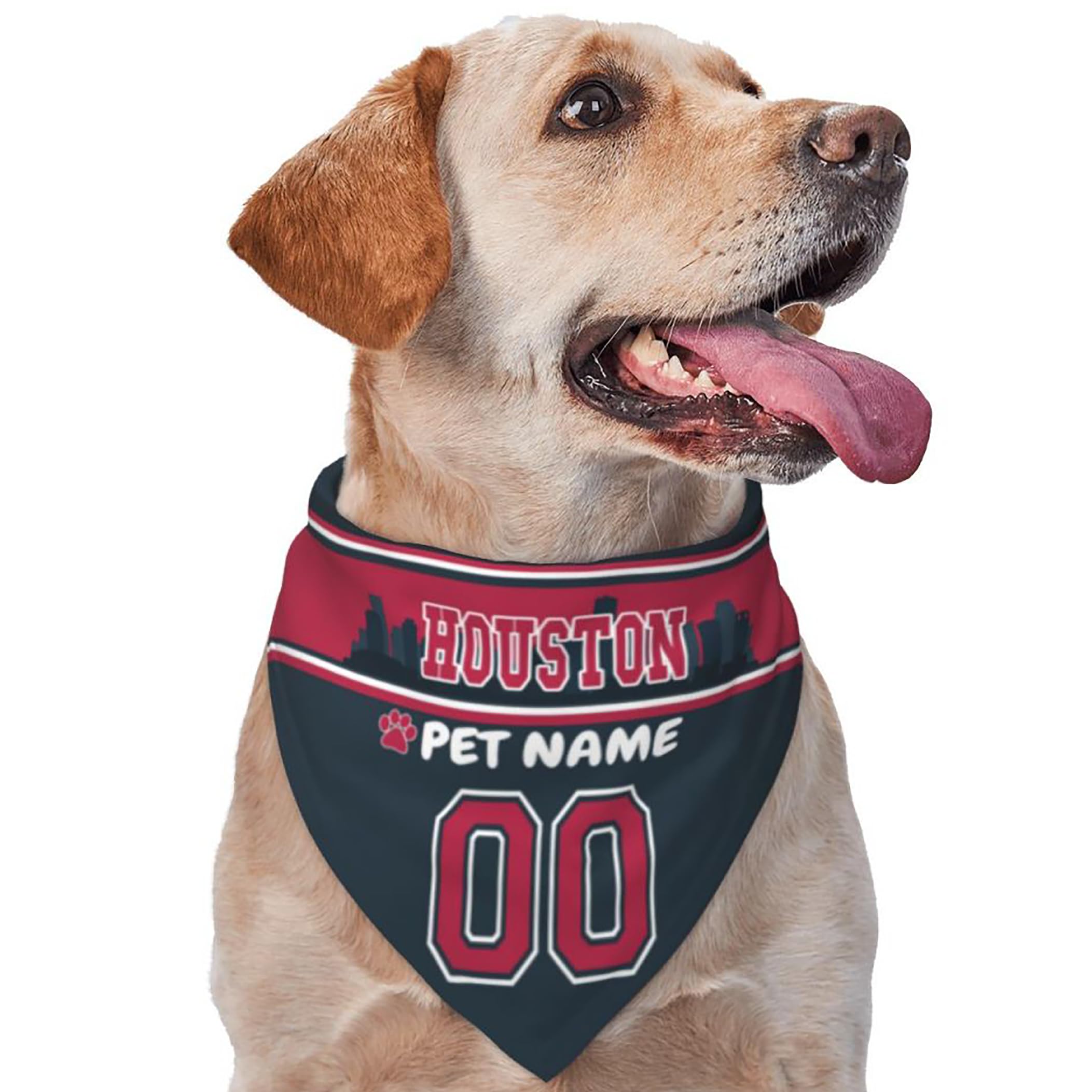 Custom Name and Number Football Dog Bandana