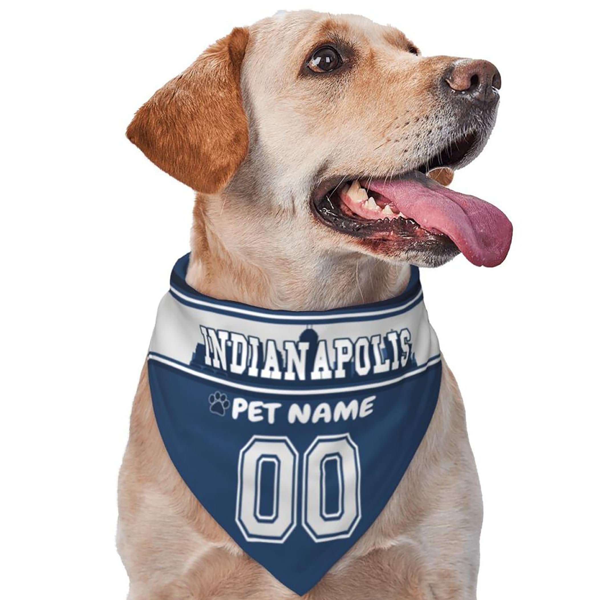 Custom Name and Number Football Dog Bandana