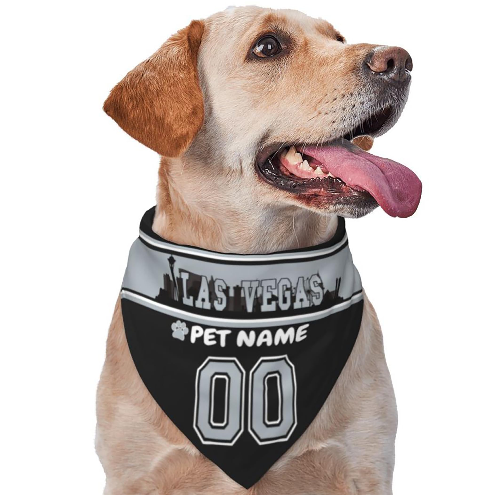 Custom Name and Number Football Dog Bandana