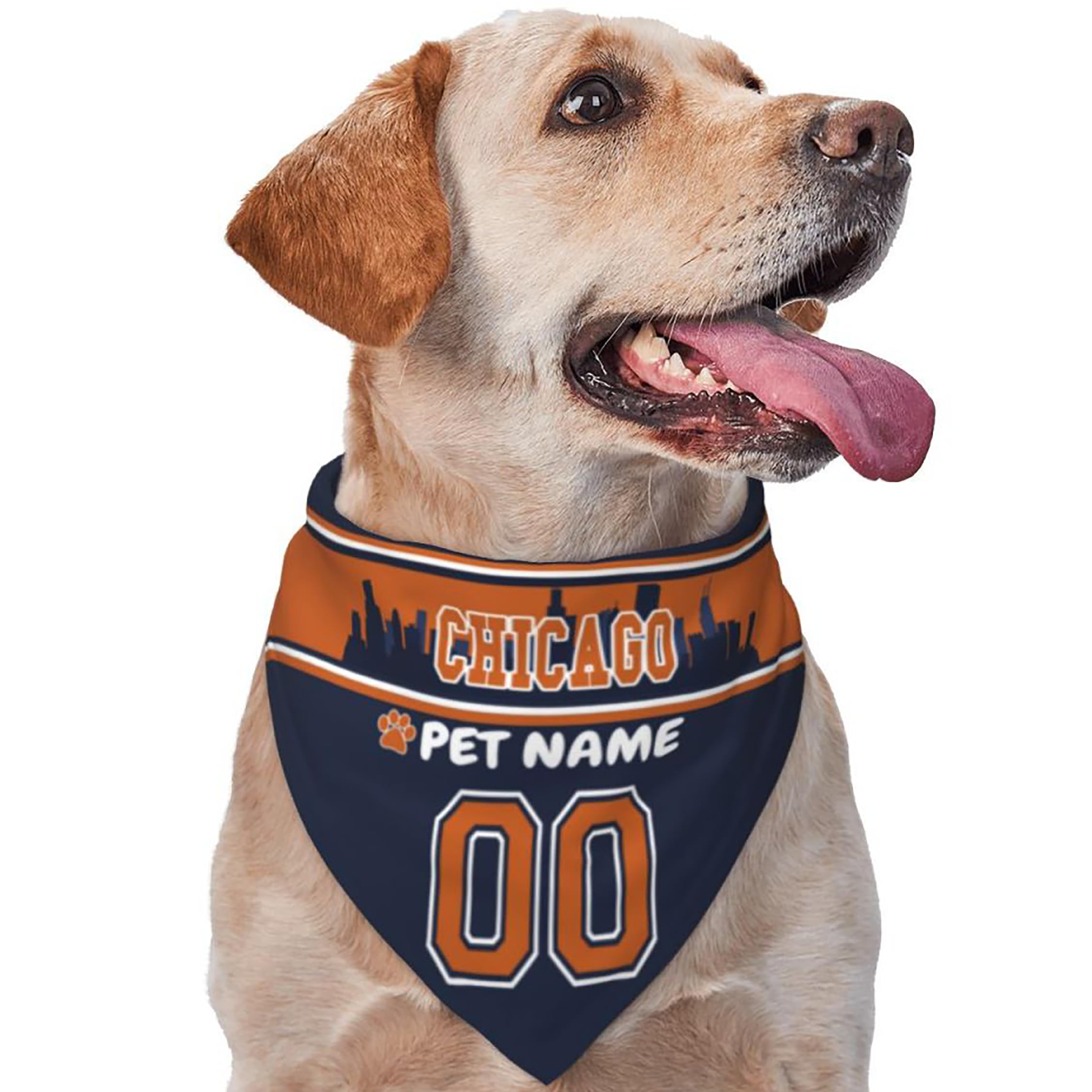 Custom Name and Number Football Dog Bandana