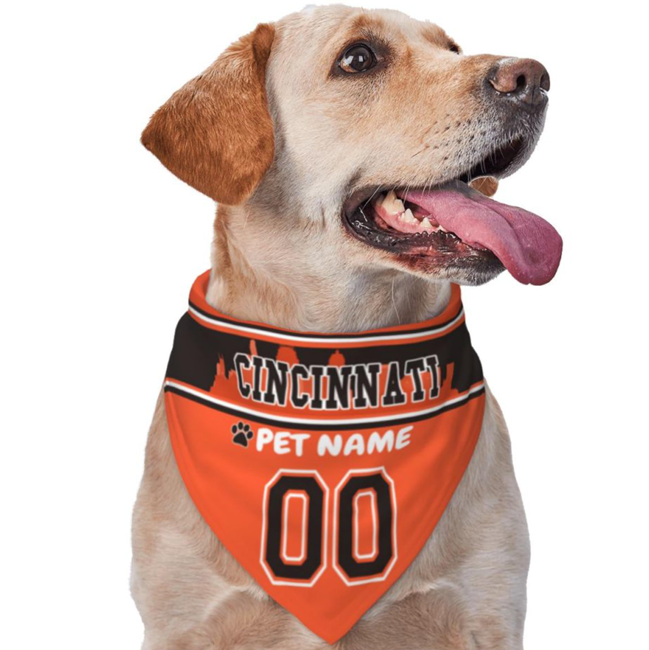 Custom Name and Number Football Dog Bandana