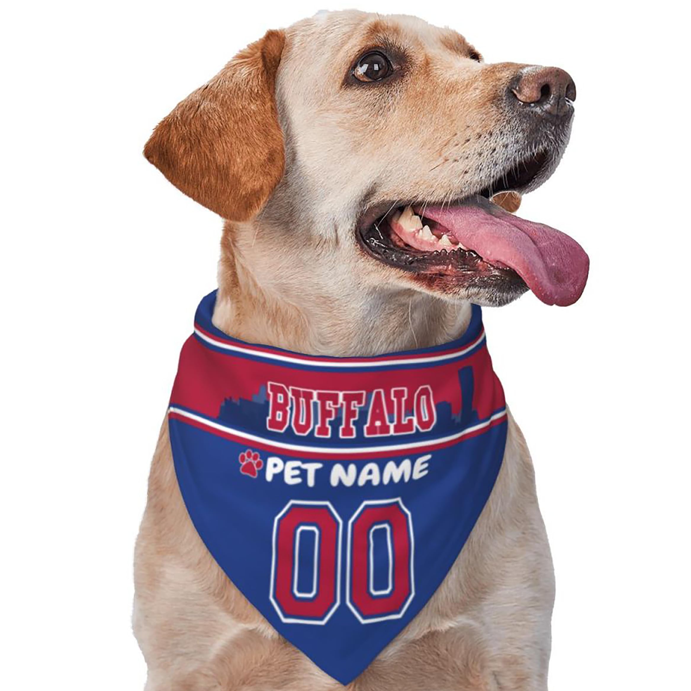 Custom Name and Number Football Dog Bandana
