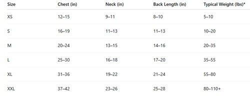 Aidan Hutchinson Pet Striped Jersey